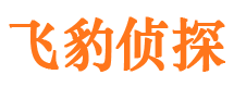 西充市婚外情调查